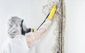 Best Mold Prevention Services  in Lincoln Center, KS